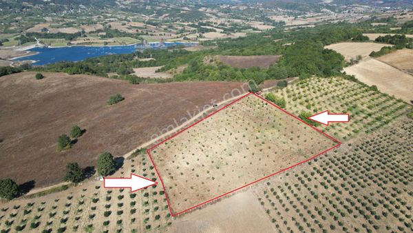 Kocaeli Karamürsel Yalakdere 9.230 M² Yatırımlık Satılık Bahçe