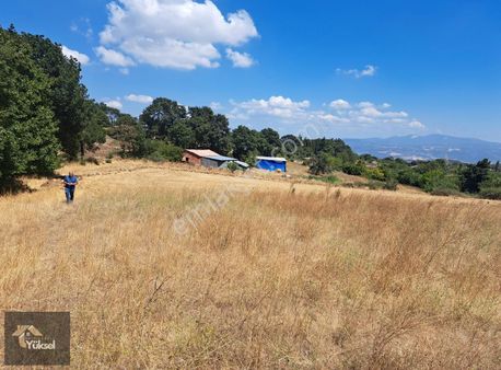 Kulat Da Fırsat Arazi