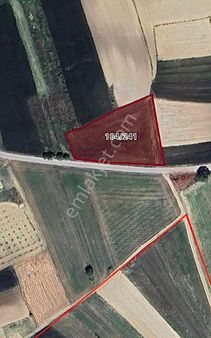 Sakarya Kaynarca Gaziler