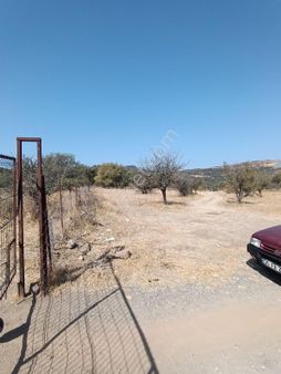 Foça Hacılimanında Satılık Tarla