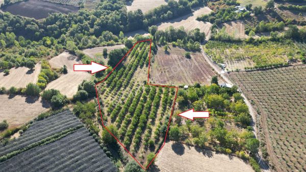 Kocaeli Karamürsel Yalakdere 11.518 M² Kaçmaz Satılık Tarla