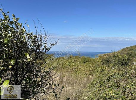 Sahil Yenice'de Deniz Manzaralı 998 M2 Kelepir Fiyata Arazi