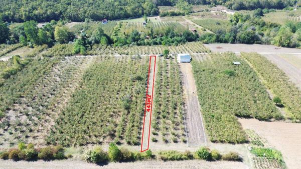 Dc Gayrimenkul Geredeli Mh. 443m2 Yola Cephe Arazi