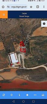 Tok Emlaktan Acil Satilik Arsa