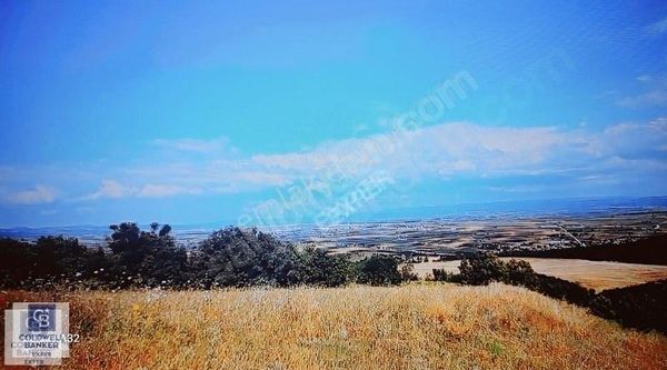 İznik Gölü Manzaralı 40.310 M2 Tek Tapu Arazi 44 Villalık