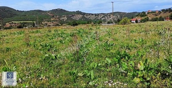 Tunceli De Şahane Yatırım