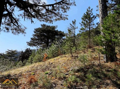 Bungalov İçin Satılık Çok Hesaplı Tarla