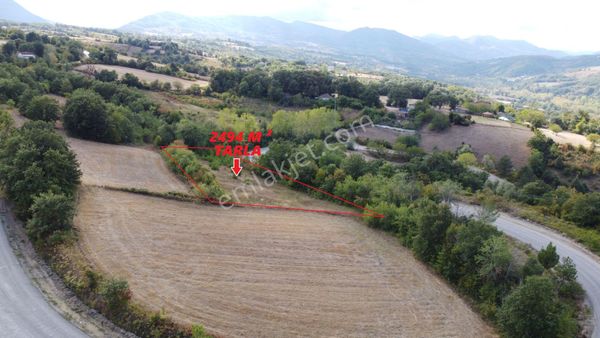 Ahmetyeri Köyü Anayol Kenarı Satılık 2494 M² Tarla