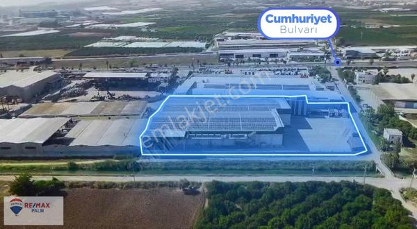 Remax Palm'den Sarıibrahimli'de Kullanıma Hazır Bakımlı Tesis