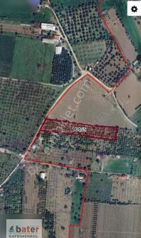 Bater'den Gerenkova'da Yatırımlık 5.727 M² Satılık İncir Bahçesi