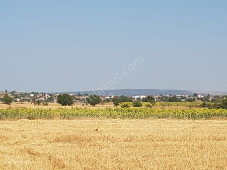 Kırklareli Merkez Üsküp Te Beldeye Yakın Satılık Tarla
