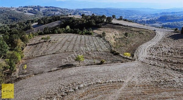 İzmit Orhaniye'de Doğa İçerisinde 3.255 M2 Arsa