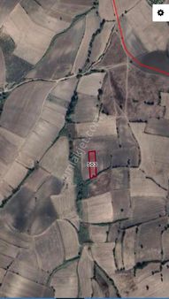 Manyas Şevketiye Mah. İlkim Gayrimenkulden Kuru Tarıma Elverişli Satılık Tarla