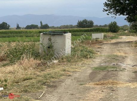 Bakırçay Ovasında Satılık Tarım Arazisi