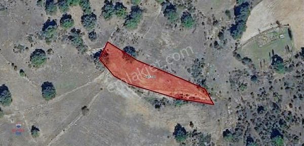 Kütahya Domanıç Erikli'de Satılık Arsa