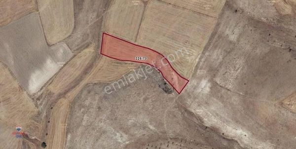 Afyonkarahisar Sultandağı Karapınar Köyünde Satılık Arsa