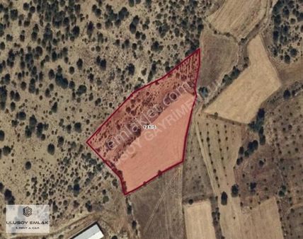 Burdur Tavşanak Mevki Satılık Tarla