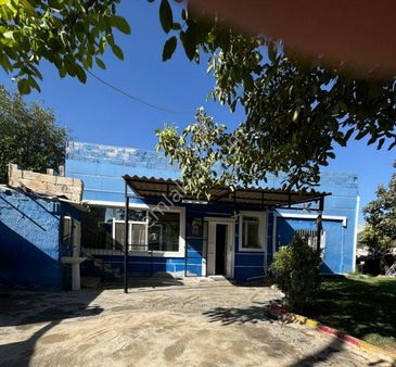 📍şok Fiyat 300 M² Alan Üzerine Kurulu Daire Ve Hobi Bahçesi