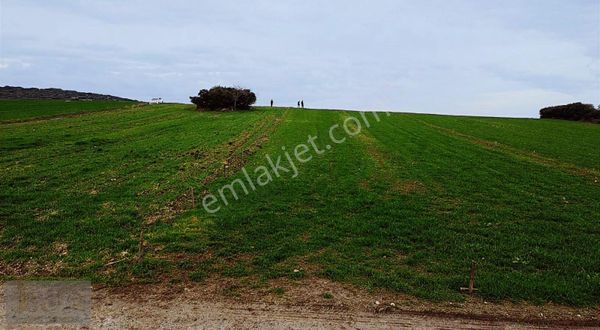 Çanakkale ︎karabiga ︎örtülüce Köyü- Satılık Tarlamız