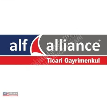 Avalon Plaza Kiralık A Sınıfı Plaza Katları-alf Alliance Ticari