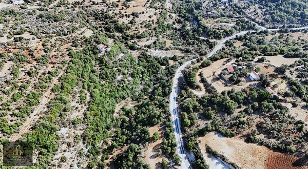 Şenköy'de Yola Sıfır Uygun Bütçeli Fırsat 8.700 M² Parsel