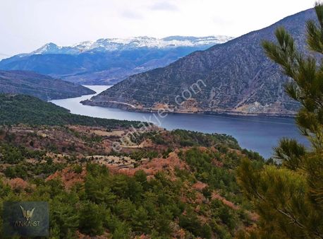 Çorum Laçin Gökgözlerde Satılık 6.407.m2 Bağ