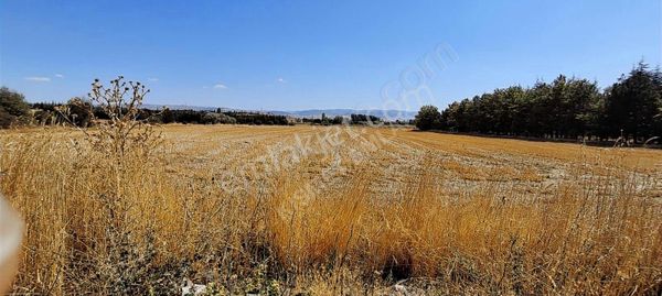 Kısmet Emlak'tan İymir Mah. Tek-tapu Yatırımlık Tarla