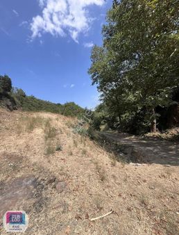 Mudanya Halitpaşa Satılık Resmi Yola Cephe Satılık Arazi