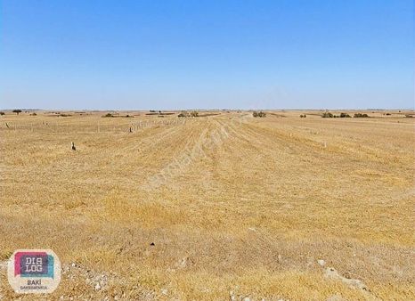 Misinli | 323 M2 3 Kat İmarlı Müstakil Parsel