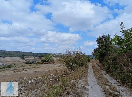 Çatalca Yazlık Mah. 9.502 M² Satılık Arsa | Yatırımcıya !