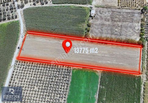 Ayvalık Altınova'da Satılık 13775 M2 Tarla