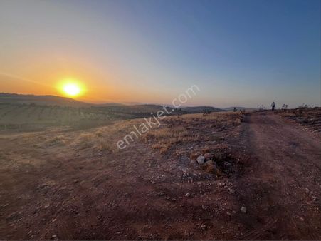 Oğuzeli Merkeze 5 Dakika Mesafede Manzaralı Ve Havadar Konumda Bağ Evlik Arazi