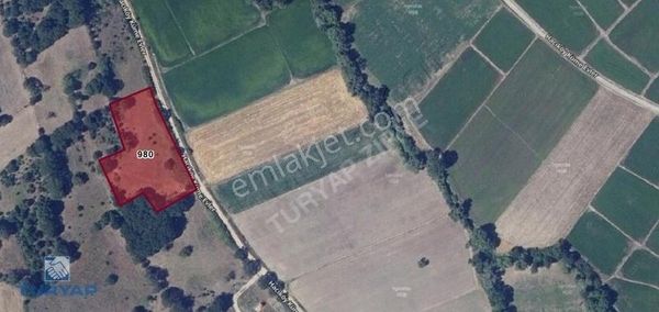 Çanakkale Biga Hacıköy 3.600m2 Yola Cephe Satılık Tarla