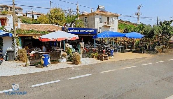 Çanakkale Gökçeada Eşelek Köyü 3+1 Dubleks Ve Satılık Cafe