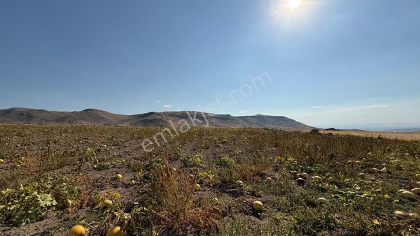Öz Gaye Emlaktan Develi Fenese Keplin Mevkiinde Satılık Tarla