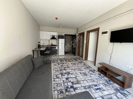 Van Merkez De Hafiziye Mah. 1+1 Eşyalı Kiralık Daire