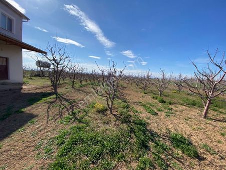 Öz Gaye Emlaktan Develi Zile Ana Yol Kenarı Satılık Elmalık