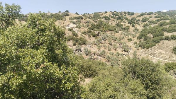 Yatağan Yava Köyünde 19.258 M2 Fırsat Tarla