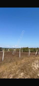 Saray Ayaspaşa’da