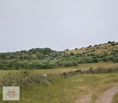 Mılas Meşelık'te 500m2 15/30 İmarlı Arsa