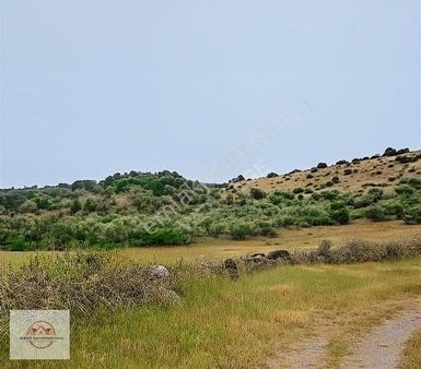 Kemalpaşa Armutlu'da Tek Parsel 4027 M2 Müstakil Tapulu