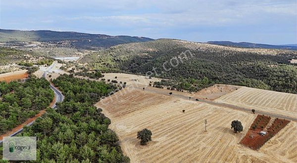 Uşak / Merkez / Selvioğlu Mahallesinde 5.315 M² Müstakil Tarla