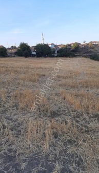 Çan Alibey Köyde Fırsat İmarlı Tarla