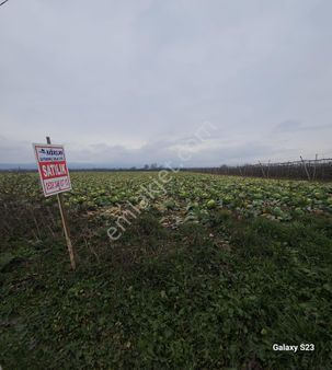Akbaşlar Emlak Ve Gayrimenkul Güvencesiyle Satılık Tarla