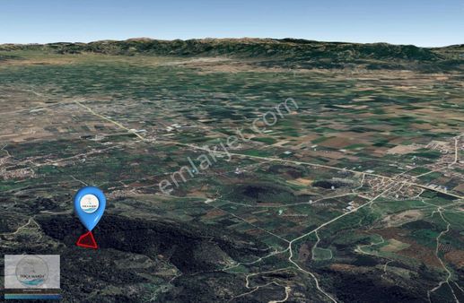 İzmir-bayındır Çiftçigediği'nde 5.580 M2 Satılık Zeytinlik