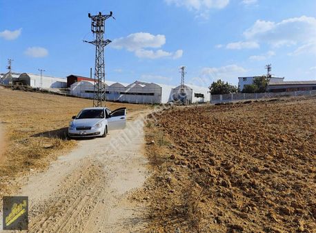 Sarıçam Yeniyayla 38 Dönüm Tek Tapulu Satılık Tarla