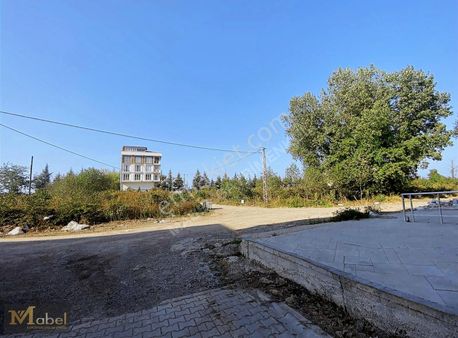 Mabel Gayrimenkul-turnasuyu Mah.-anayola Yakın Geniş Ferah Daire