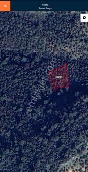 Golden Globy, Havran-büyükdere'de Satılık 1786 M2 Zeytinlik