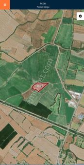 My Emlak&gayrimenkulden Eyliklerde Satılık Arazi