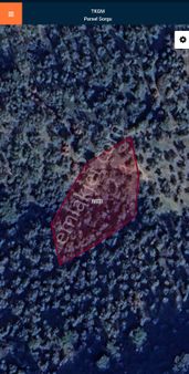 Golden Globy, Havran-büyükdere'de Satılık 1758 M2 Zeytinlik